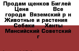Продам щенков Биглей › Цена ­ 15 000 - Все города, Вяземский р-н Животные и растения » Собаки   . Ханты-Мансийский,Советский г.